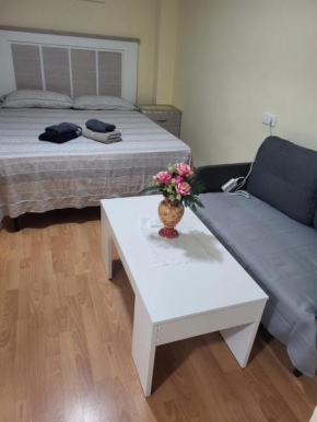 Estudios céntrico altea y playa